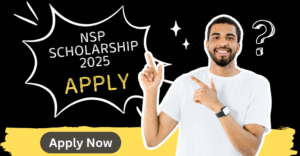 NSP Scholarship 2025